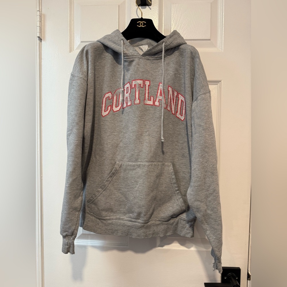 Y2K‎ SUNY Cortland Red Dragons NCAA Gray Pullover Hoodie Vintage Hoodie Size M/L